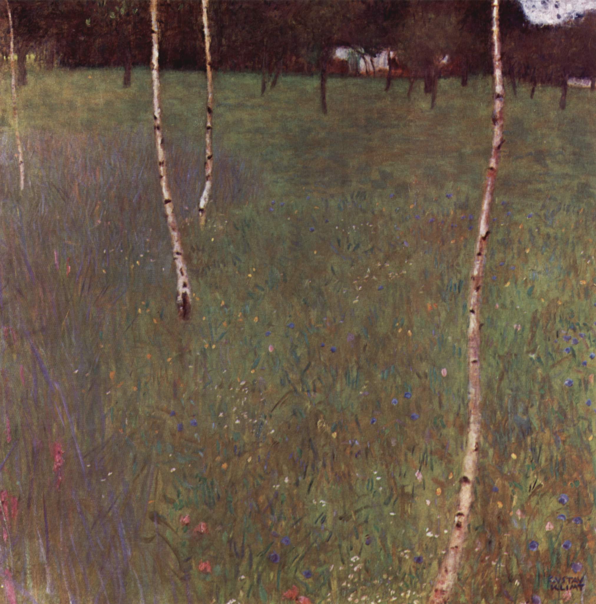 Farmhouse with birch trees